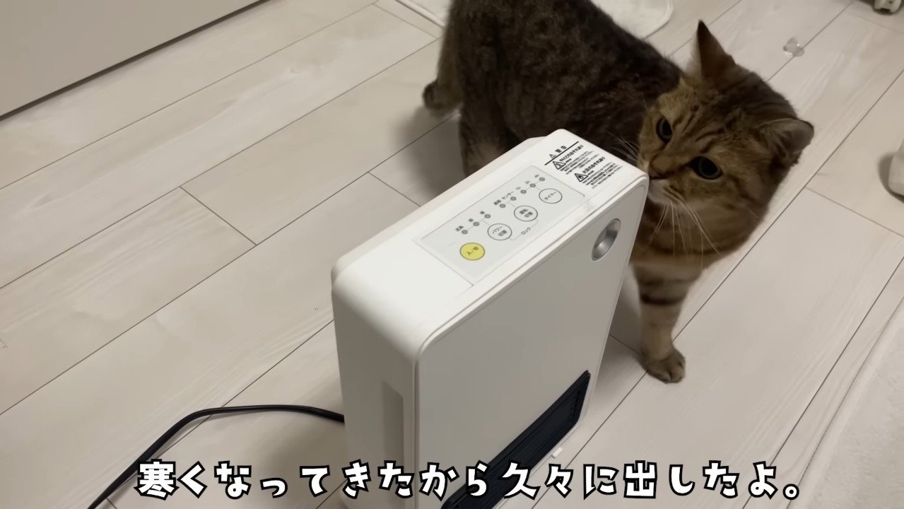 寒くなってきたから