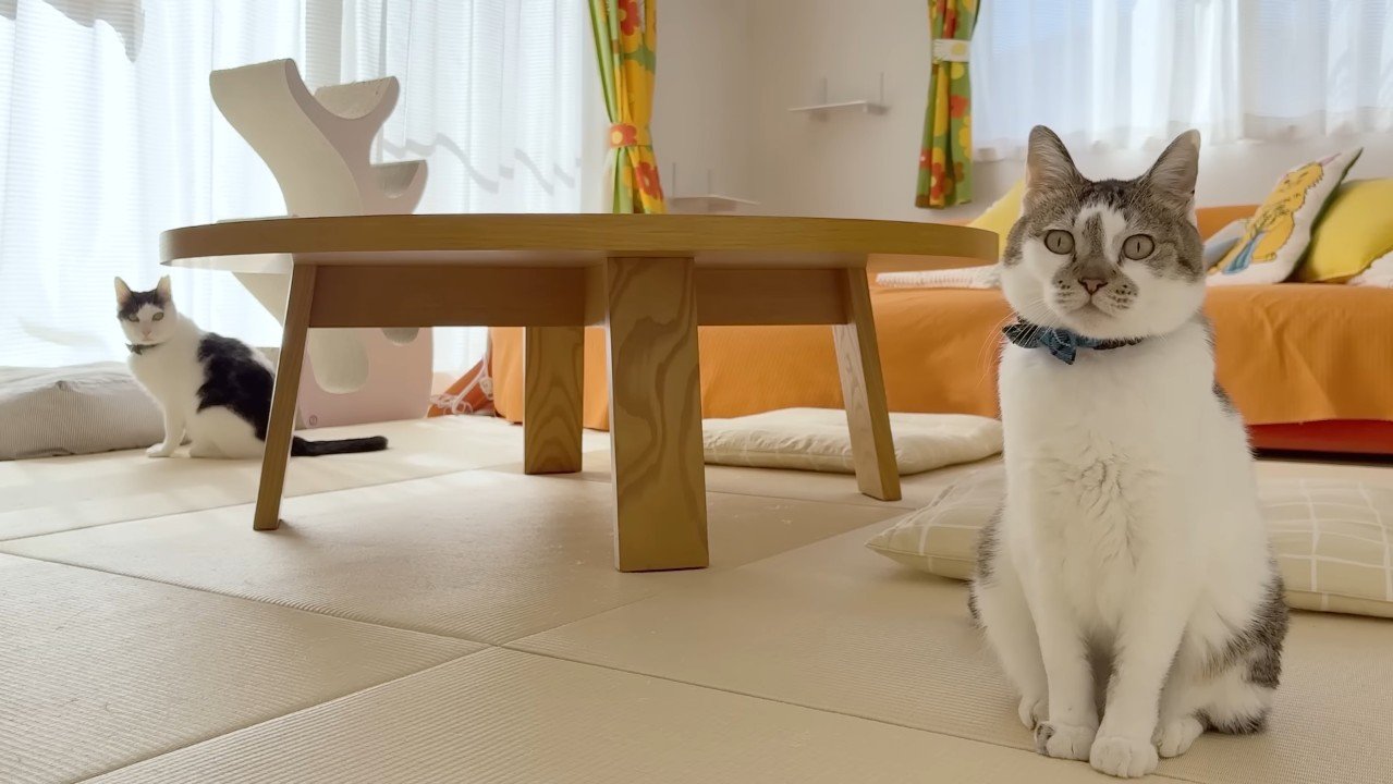 こちらを見るふたり