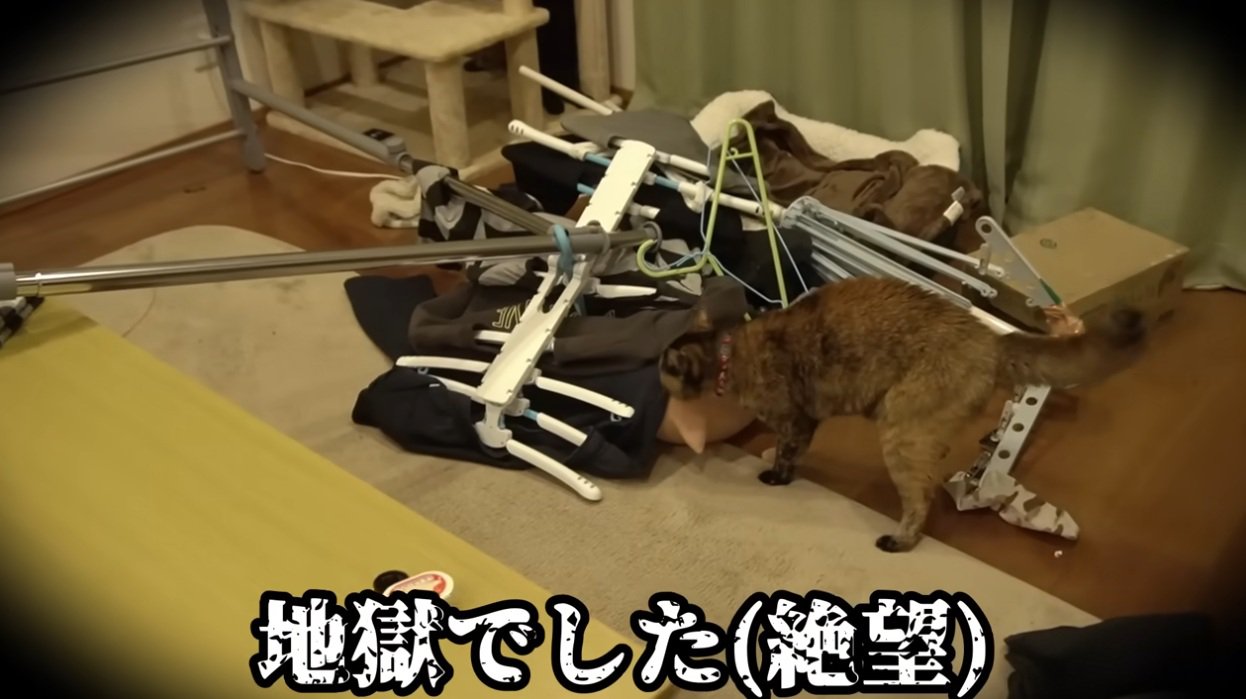 倒れているハンガーラックや洗濯物かけ