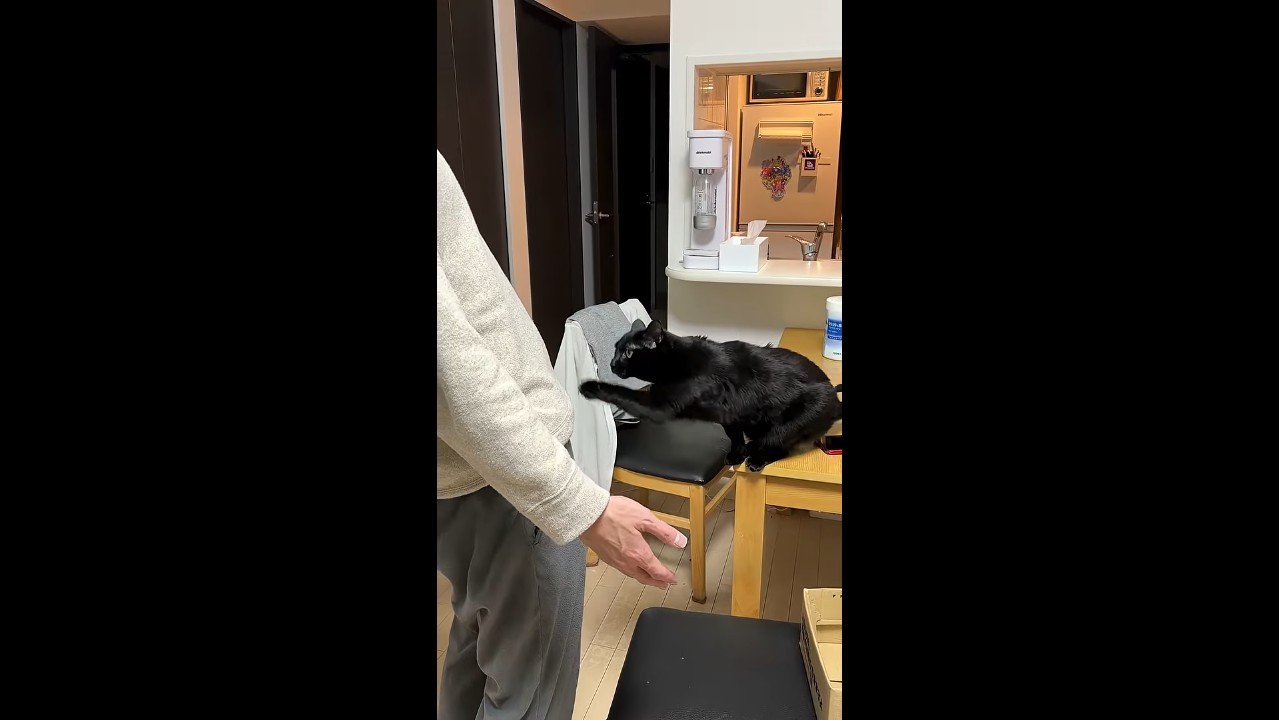 左前足を伸ばして