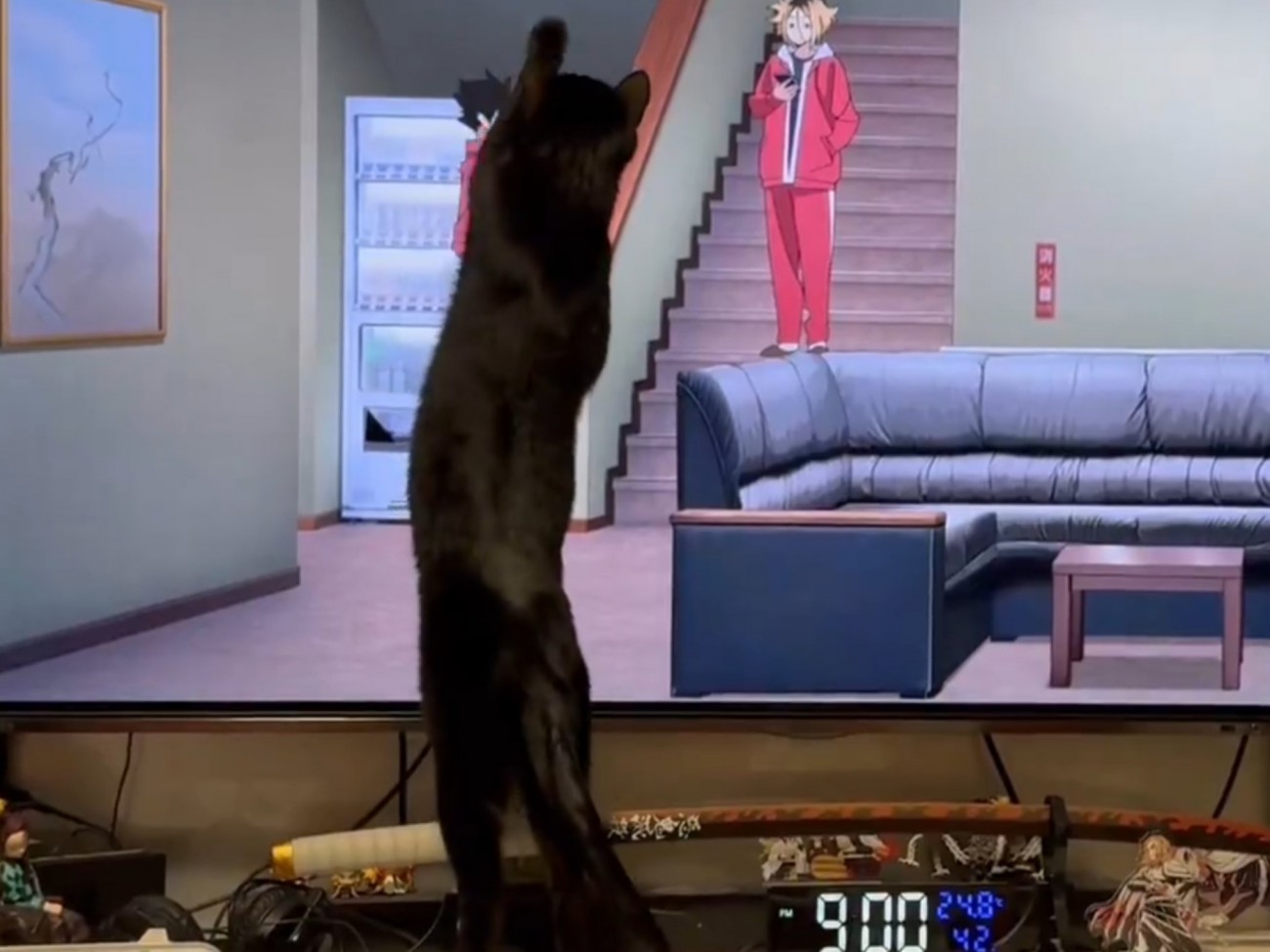 テレビ画面に手を伸ばす猫