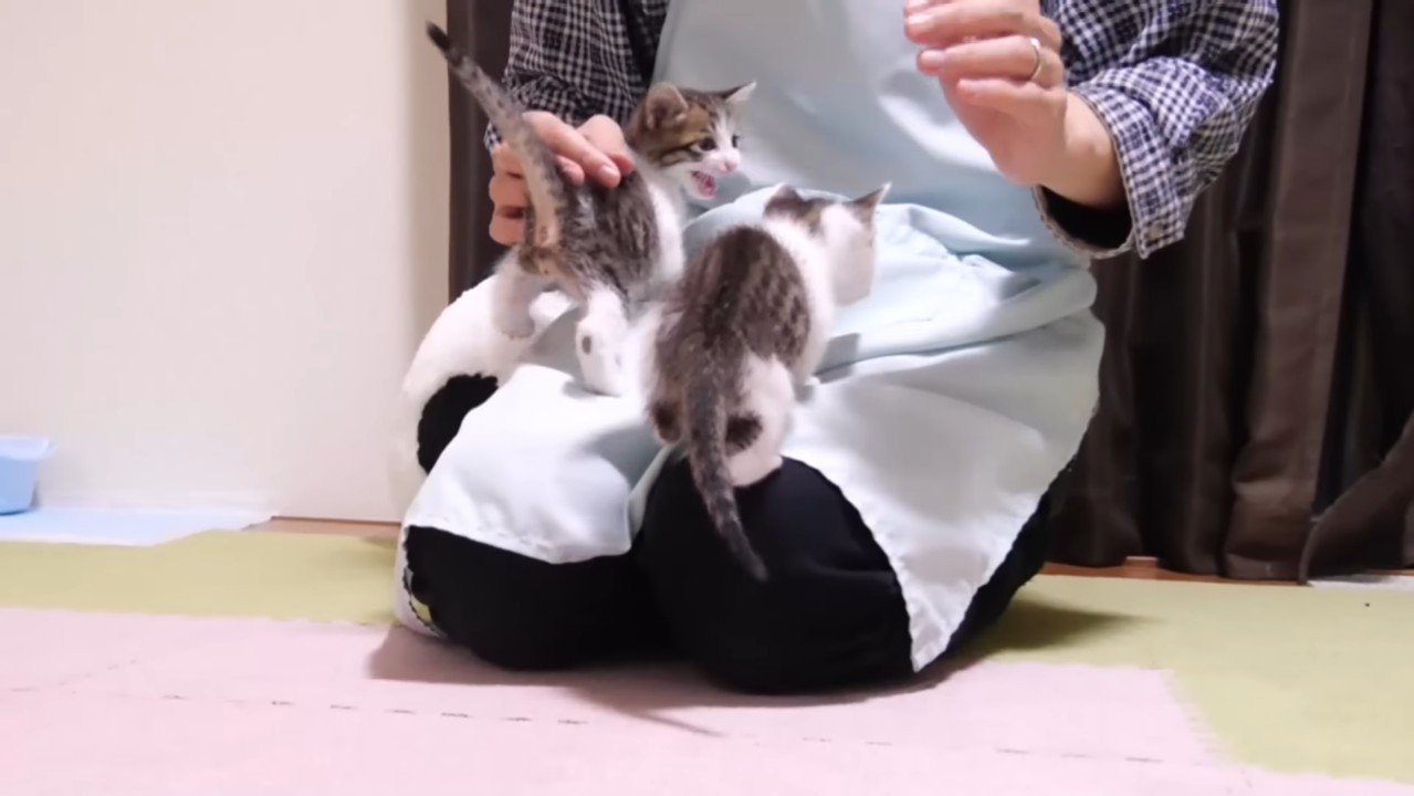 膝の上に乗るふたり