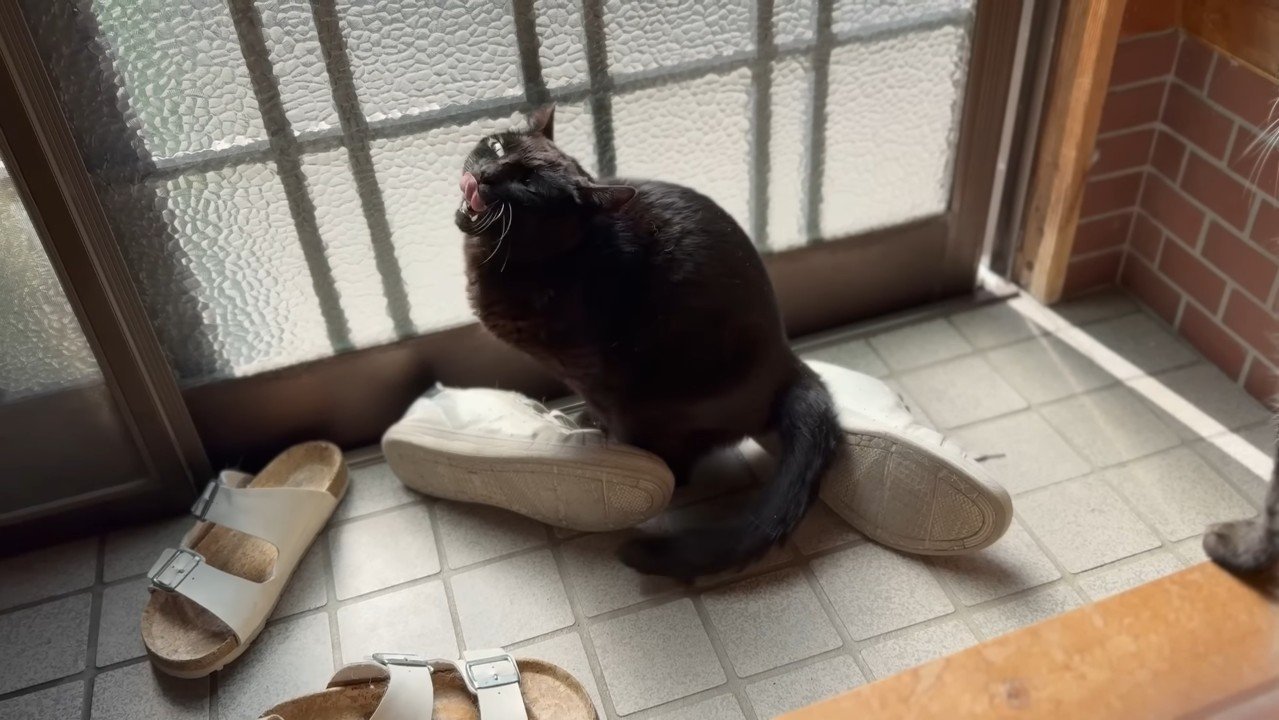 口を開けた表情