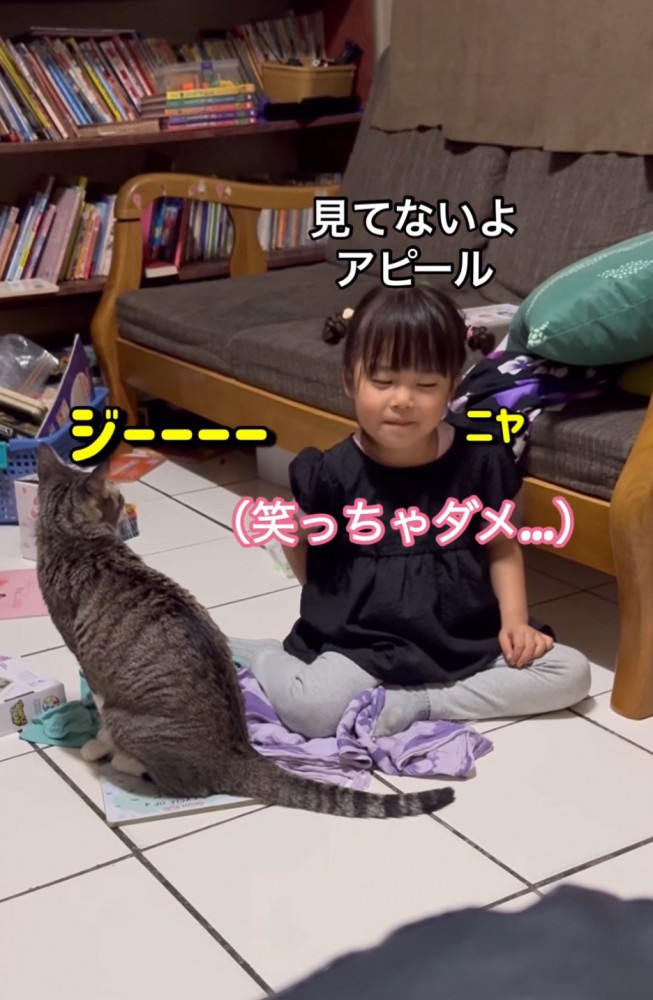 女の子をまじまじと見つめる猫と、猫に見つめられて頬が緩む女の子