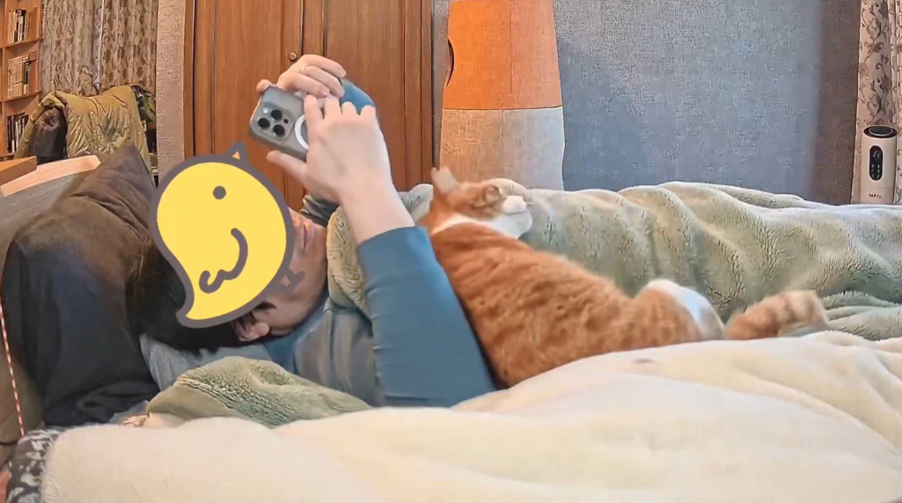 猫に気付かずスマホを触る飼い主