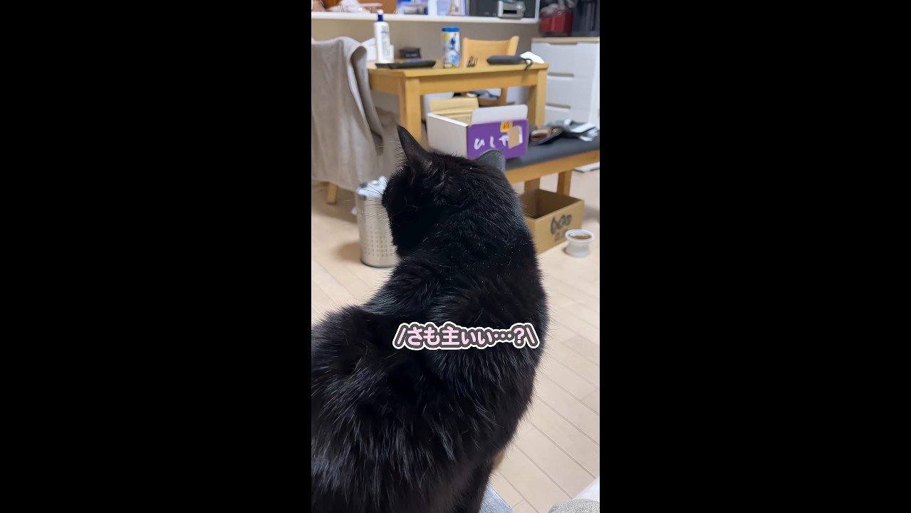 さも主ぃぃ…？