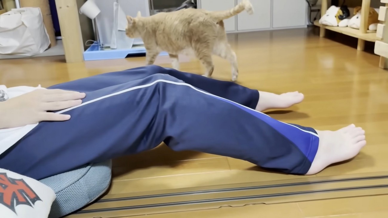 脚（青ジャージ）の奥に猫ちゃん