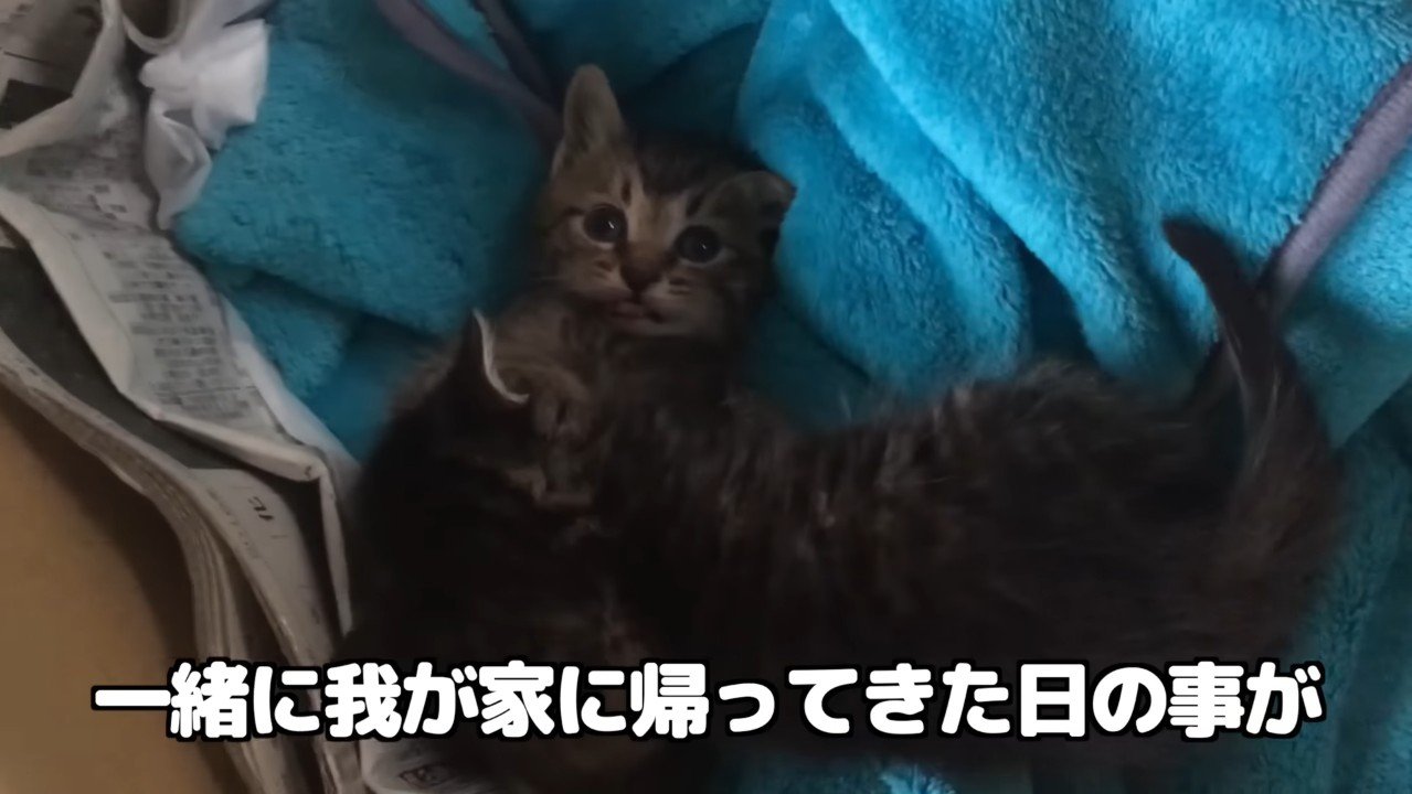 一緒に我が家に