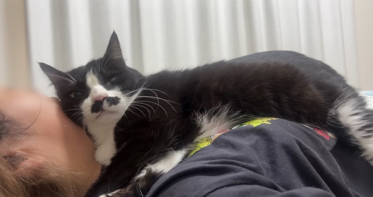 くろまめちゃんアップの画像