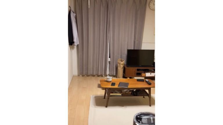 カーテンからのぞく猫