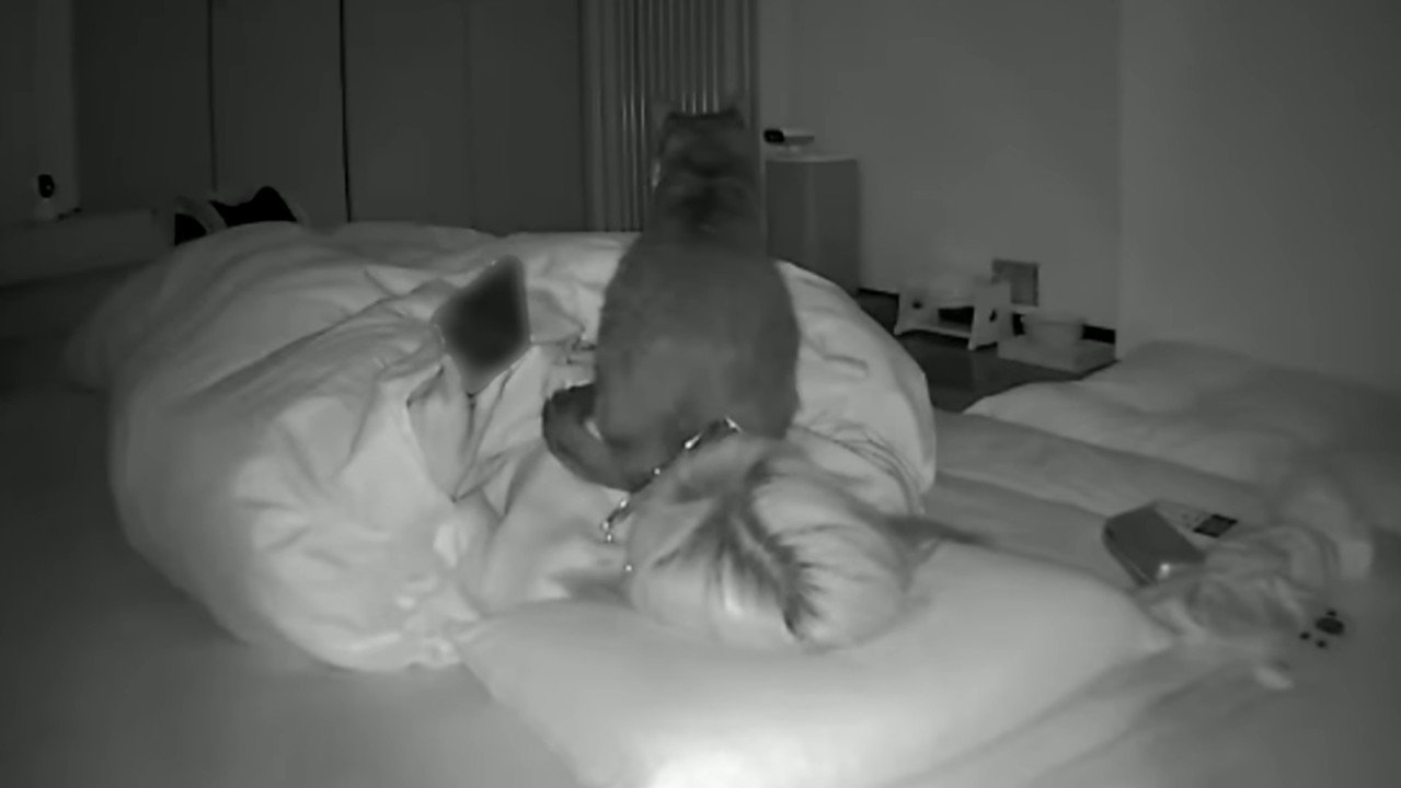 深夜のカメラ映像