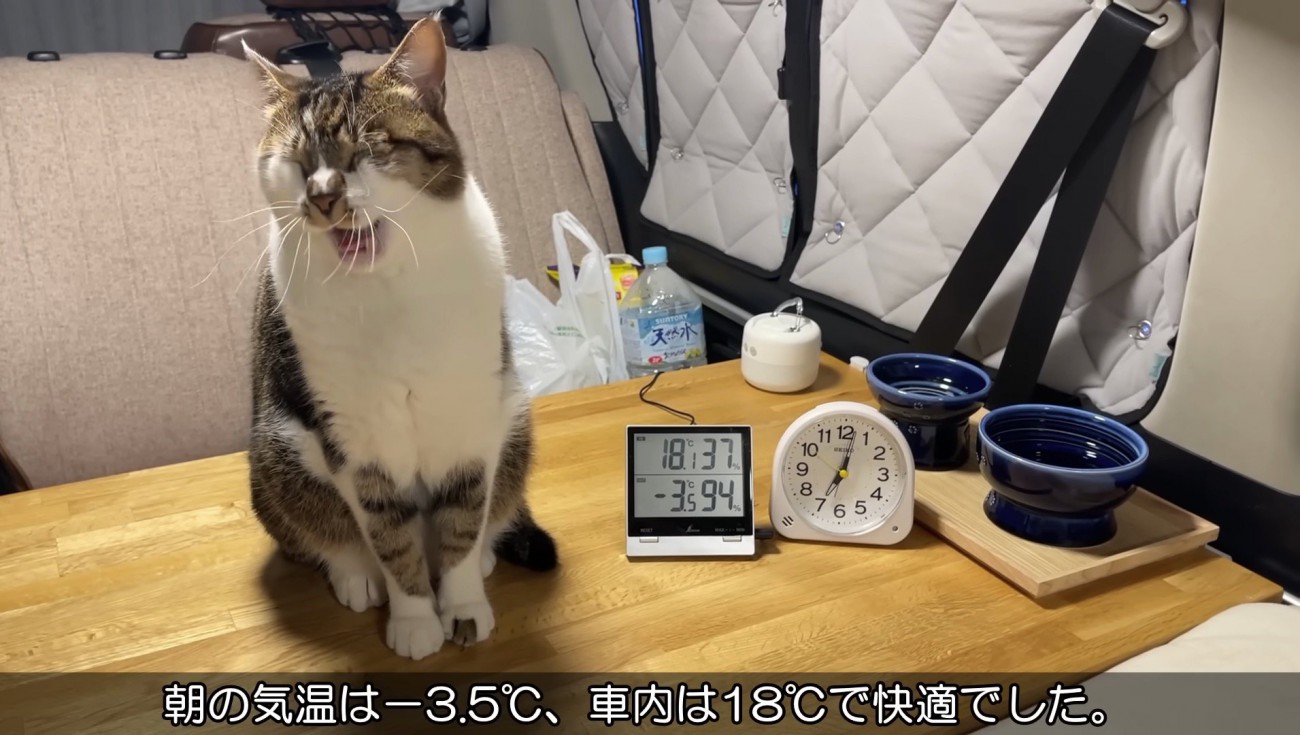 あくびするマサくん