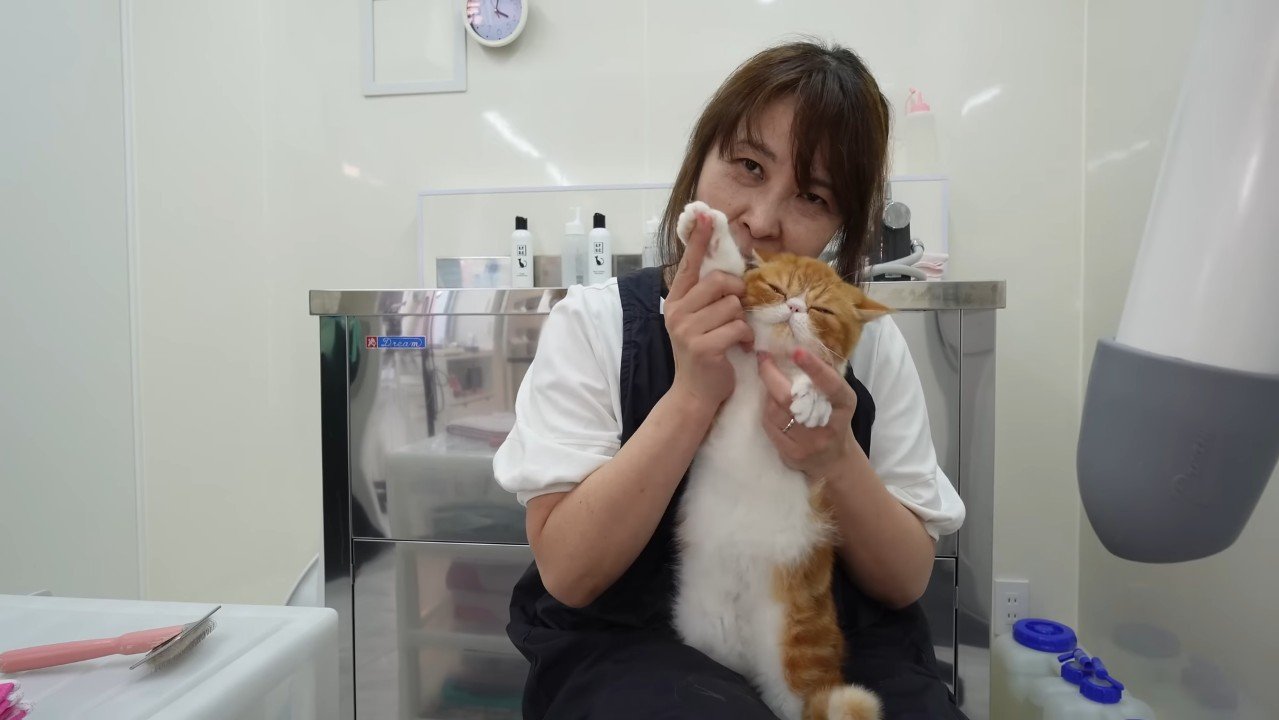 右前足を上げてポーズ