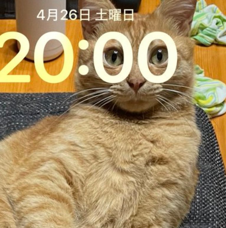 眼鏡をかけているみたいなゆたくん