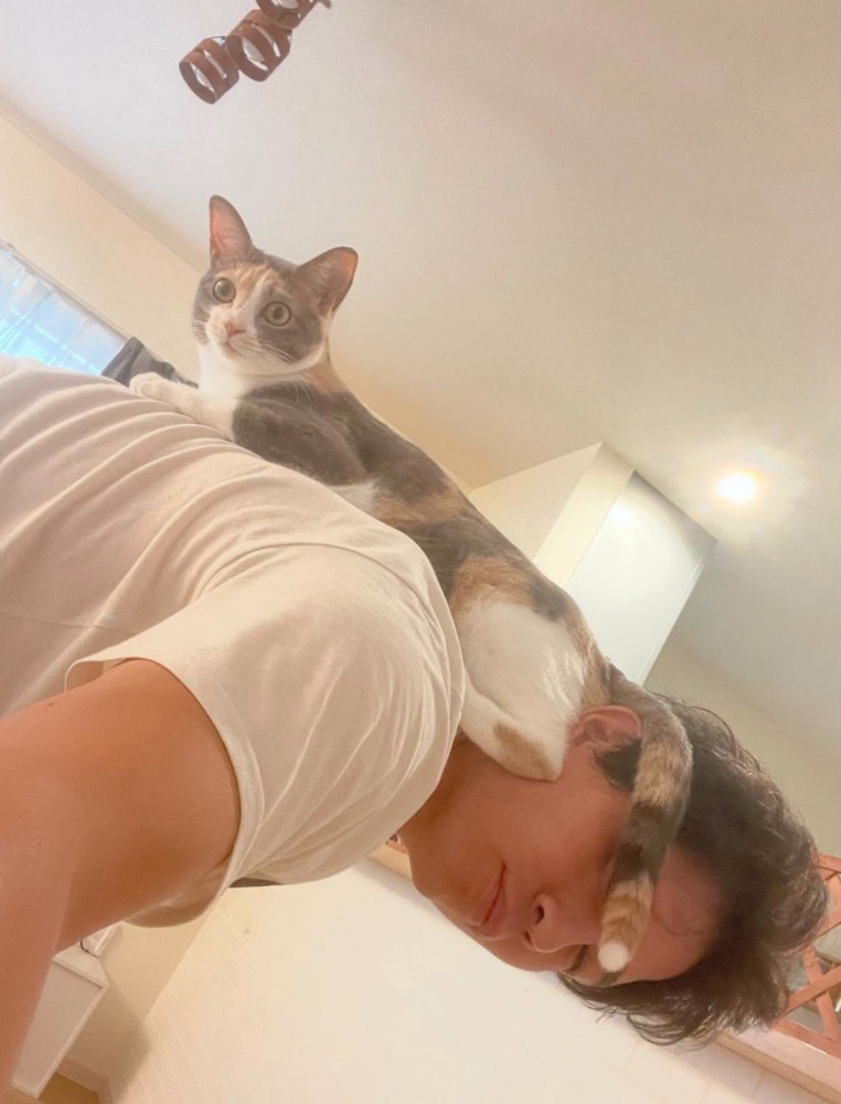 美しく成長した猫