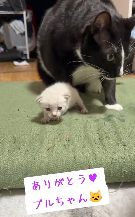 感謝