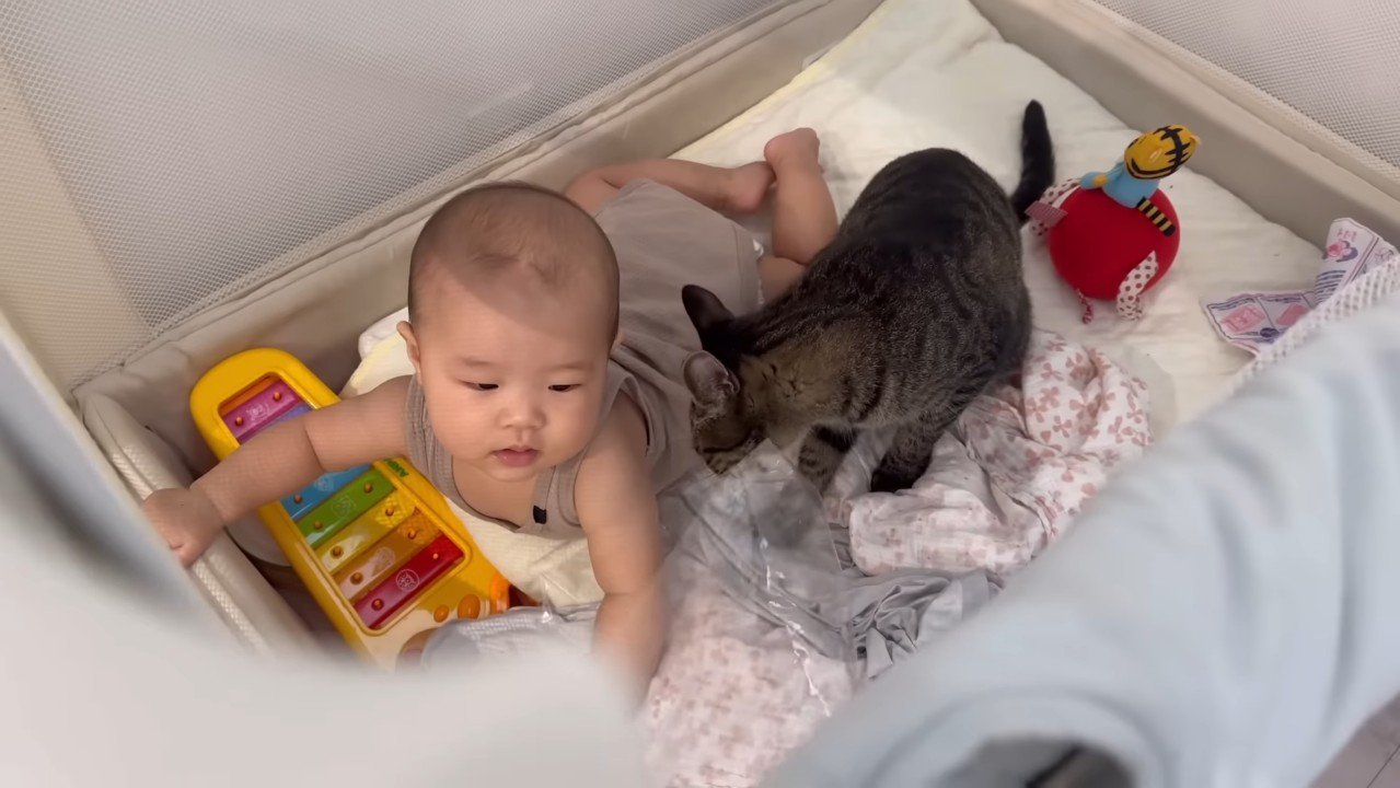 カミカミするももまるちゃん