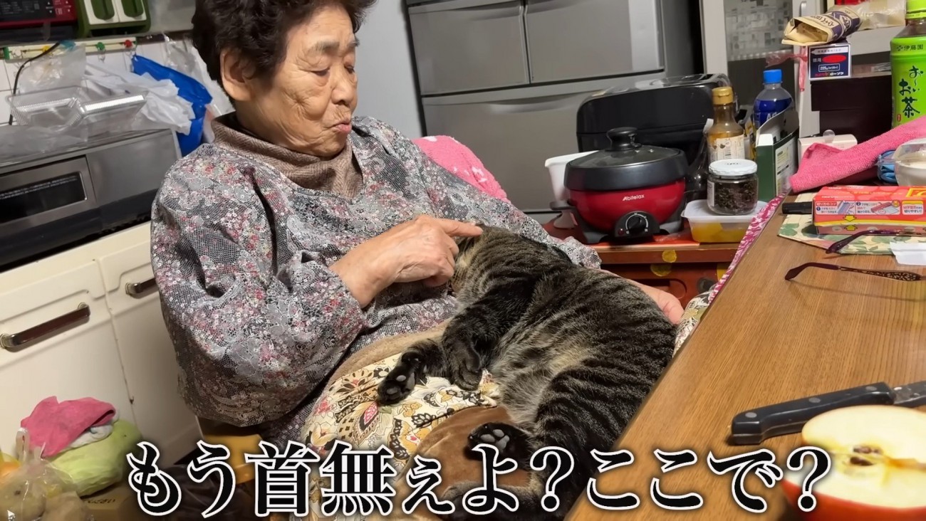 おばあちゃんと猫