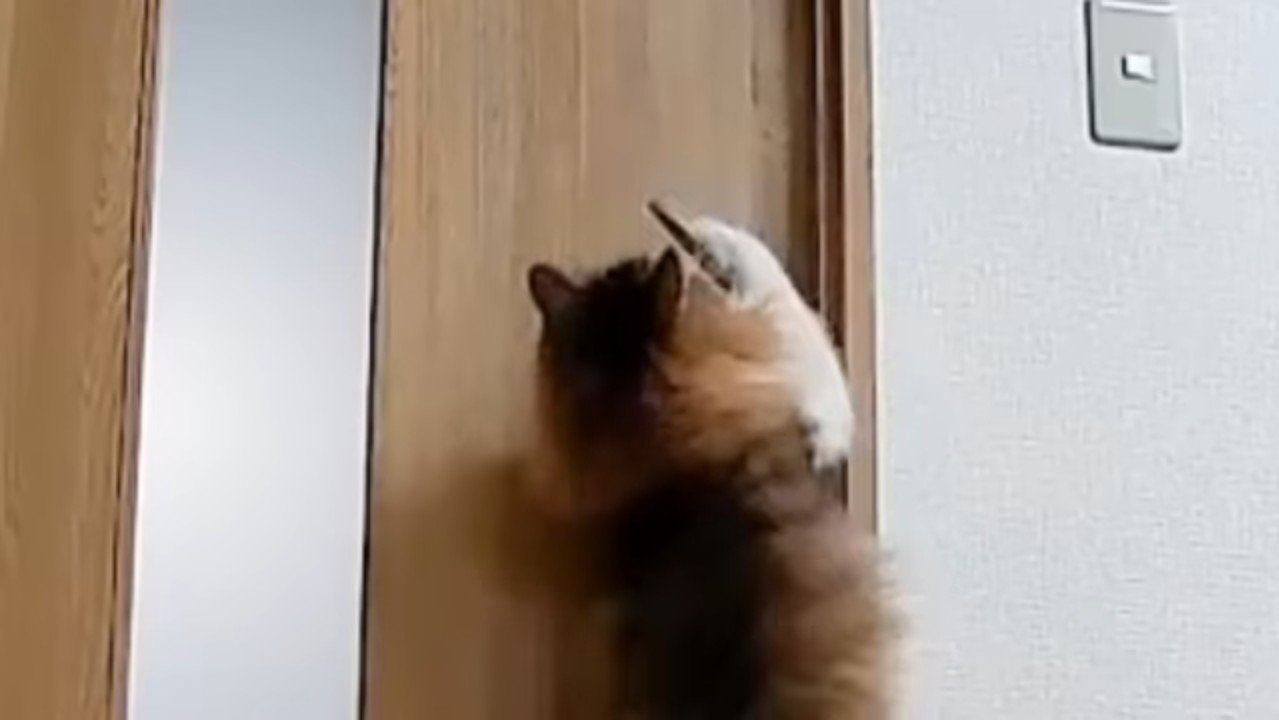 傾くドアノブ
