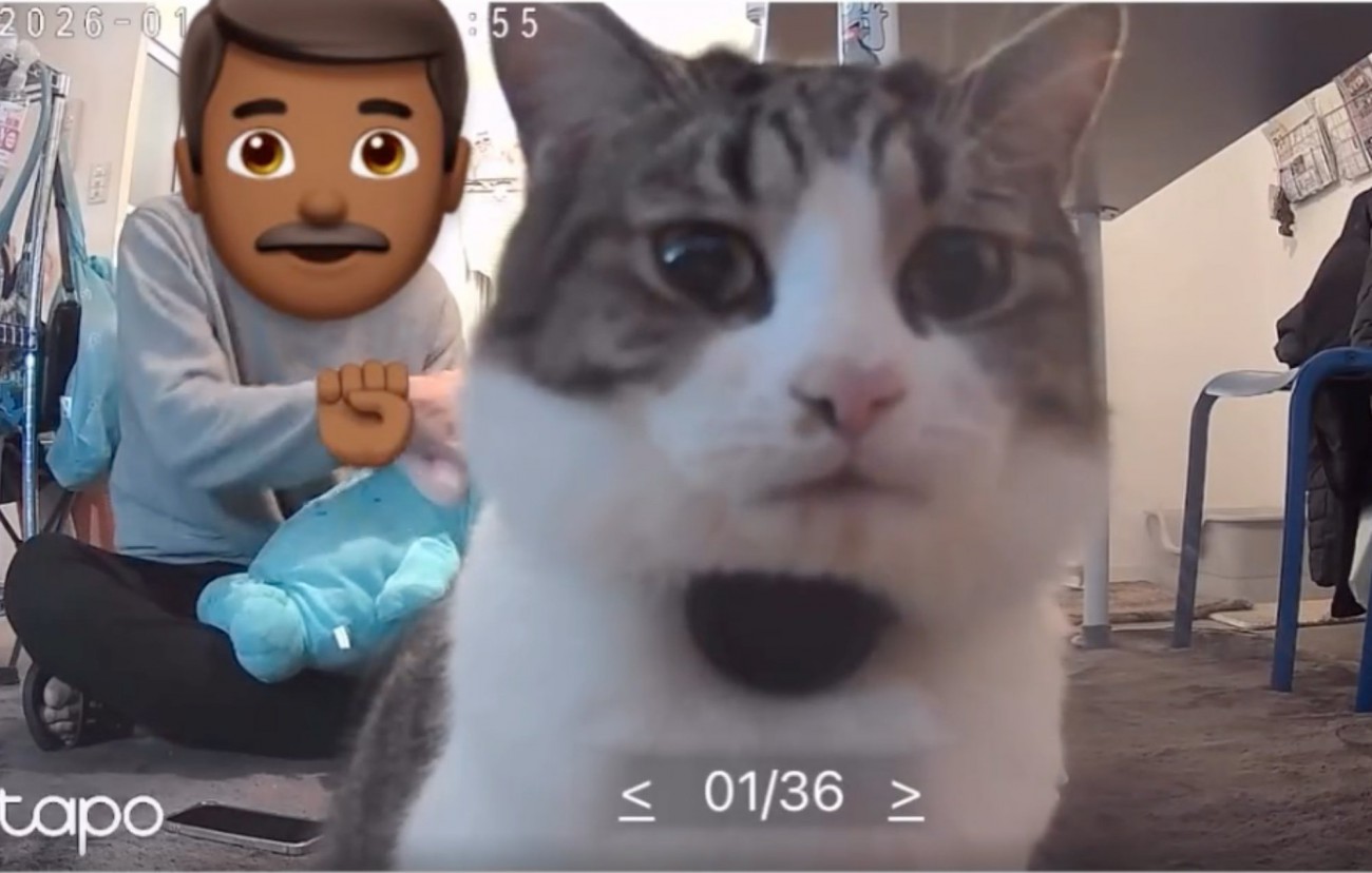 沐浴練習する男性と猫