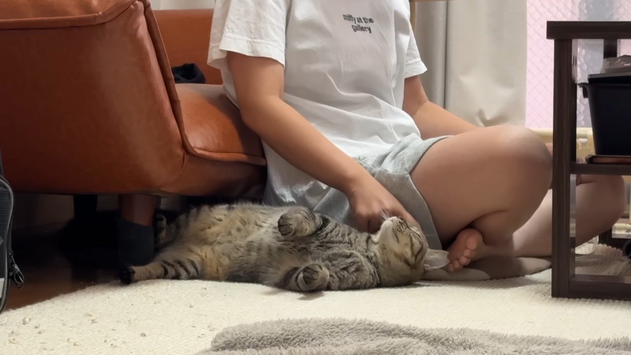 撫でられ中