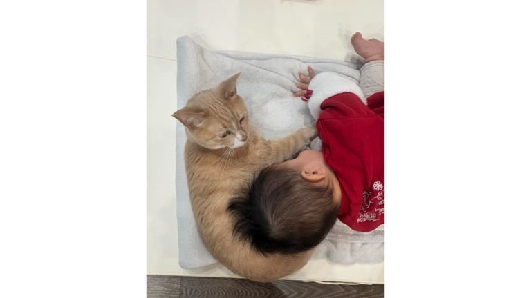寝ている赤ちゃんと猫