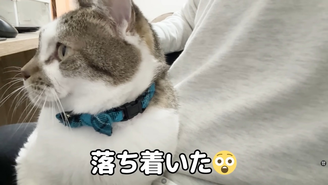 テロップ「落ち着いた」