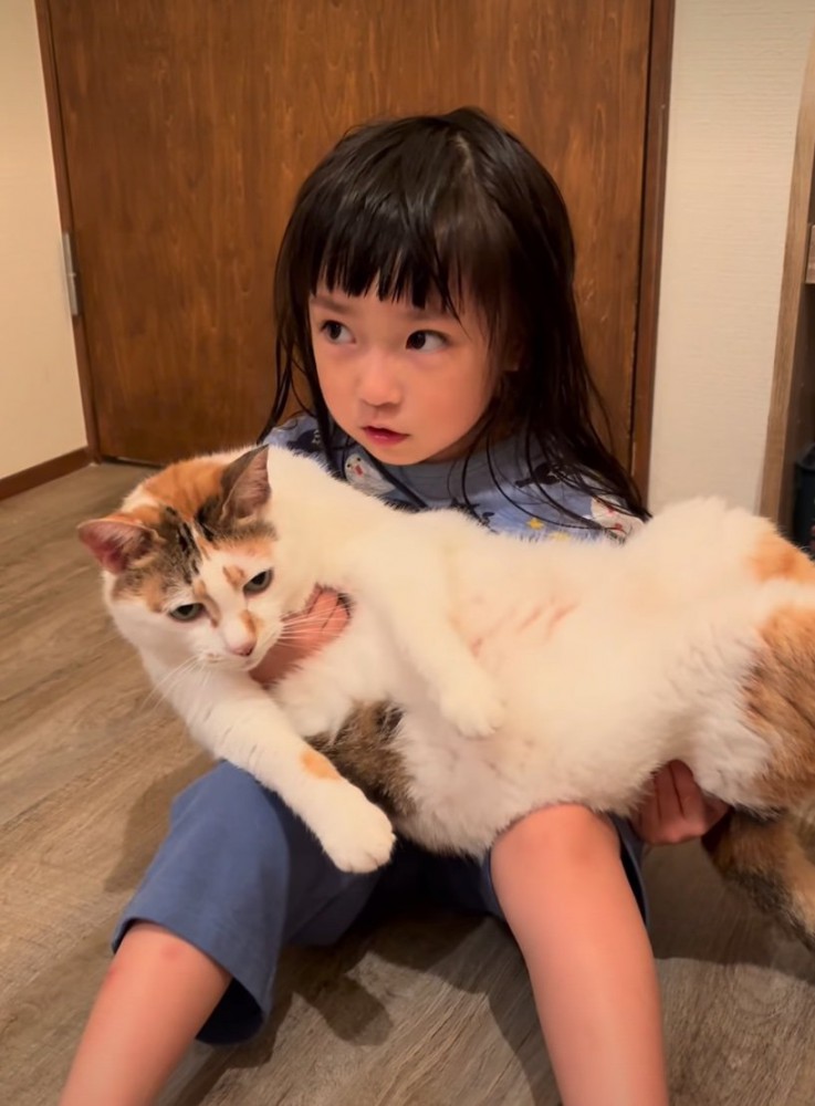 虚無顔の猫
