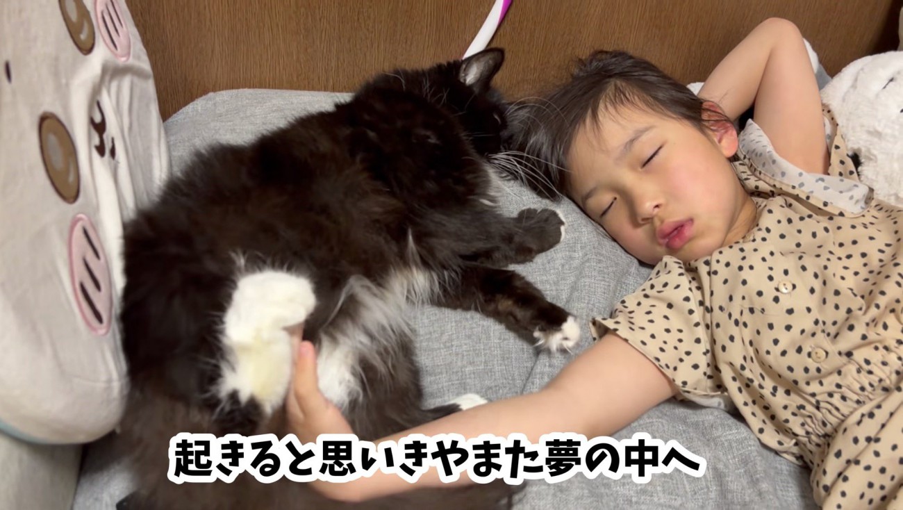 再び熟睡