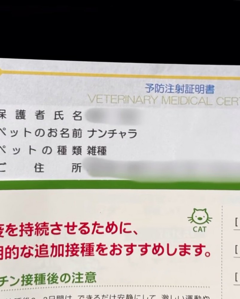 予防接種証明書