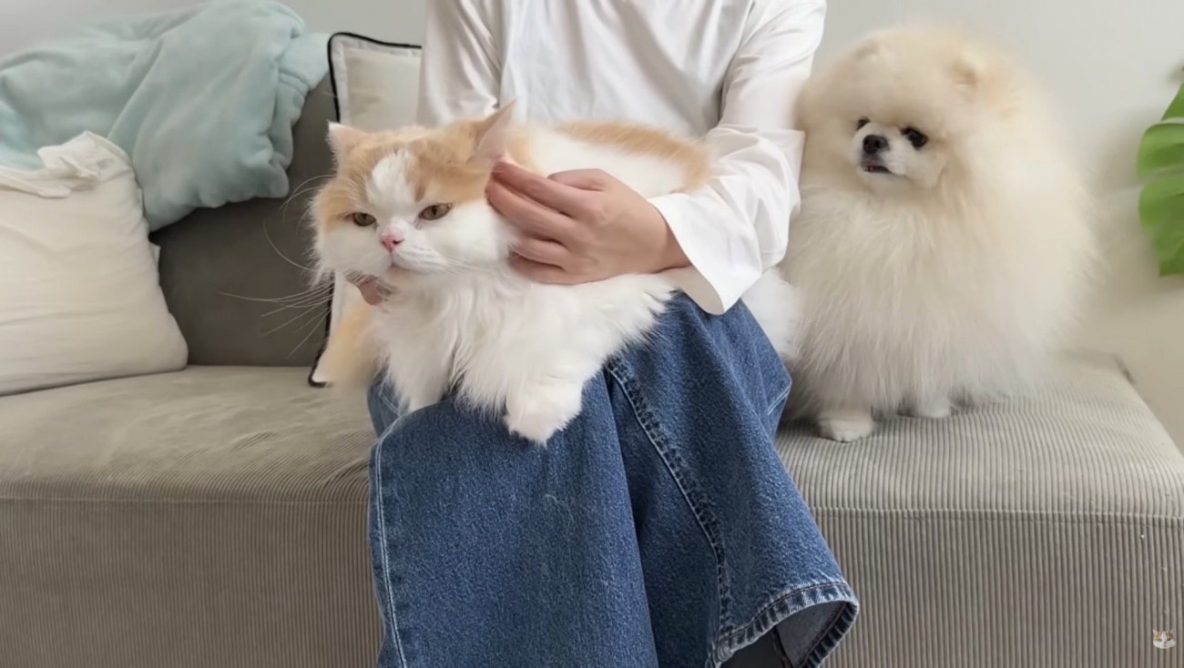 二匹の紹介写真