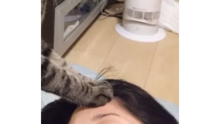 猫と女性