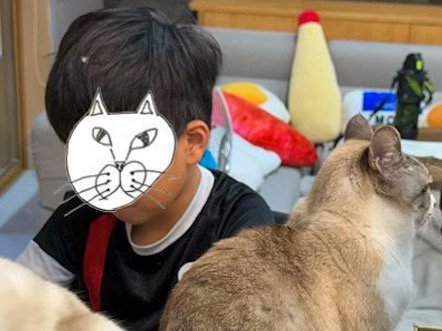 猫の隣で勉強をする男の子