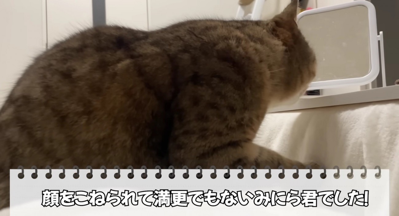 顔むにゅは満更でもなかったみにらくん