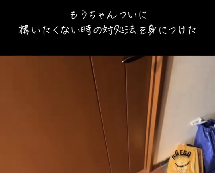 マンチカンによって閉じられたドア