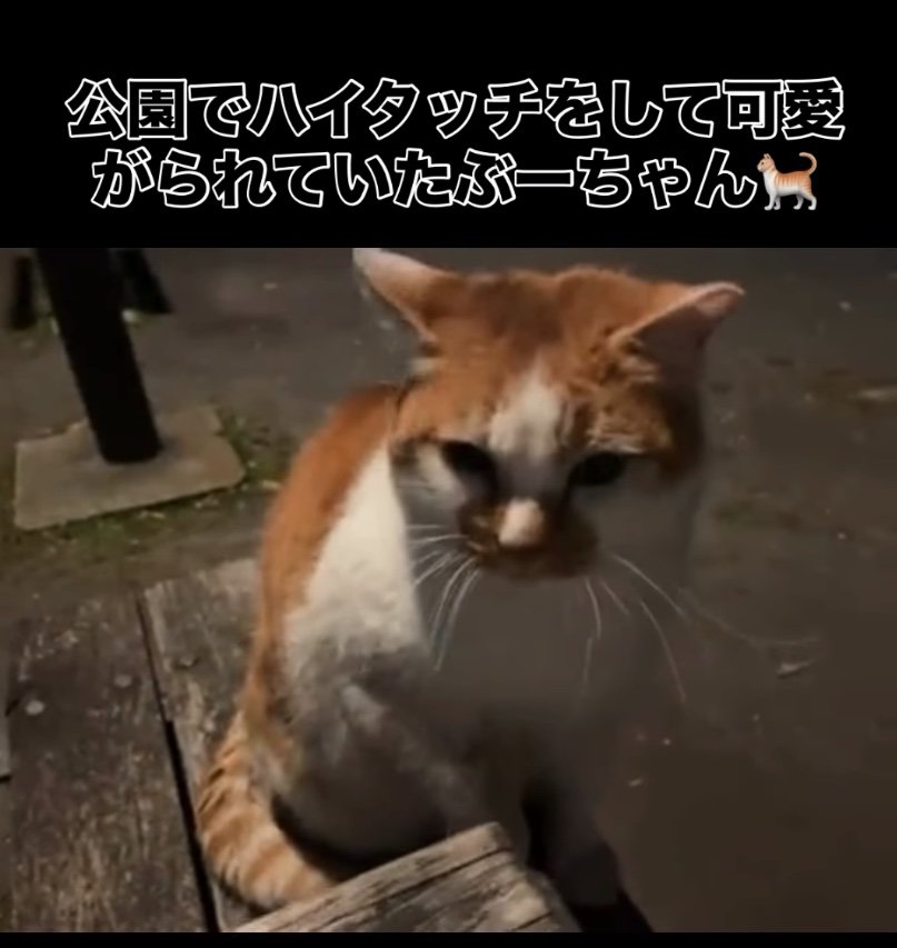 手を顔の前に掲げる