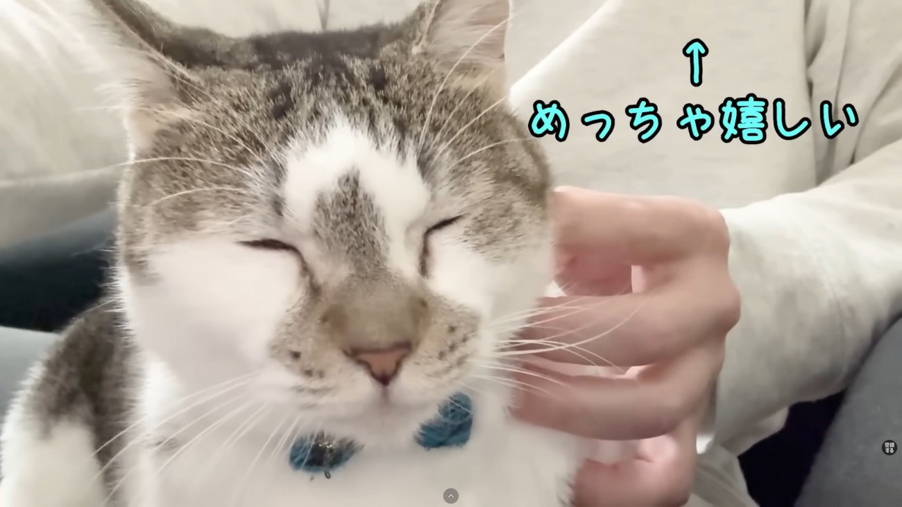 テロップ「↑めっちゃ嬉しい」