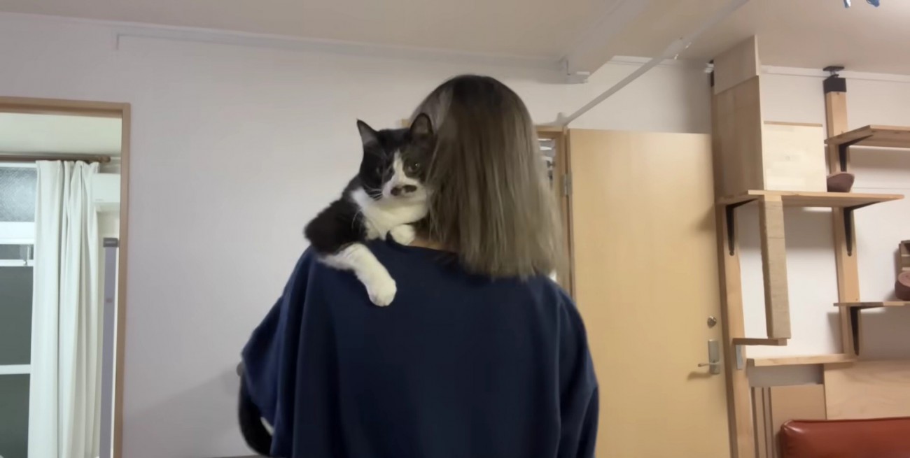 飼い主さんに抱っこされて満足そうな様子