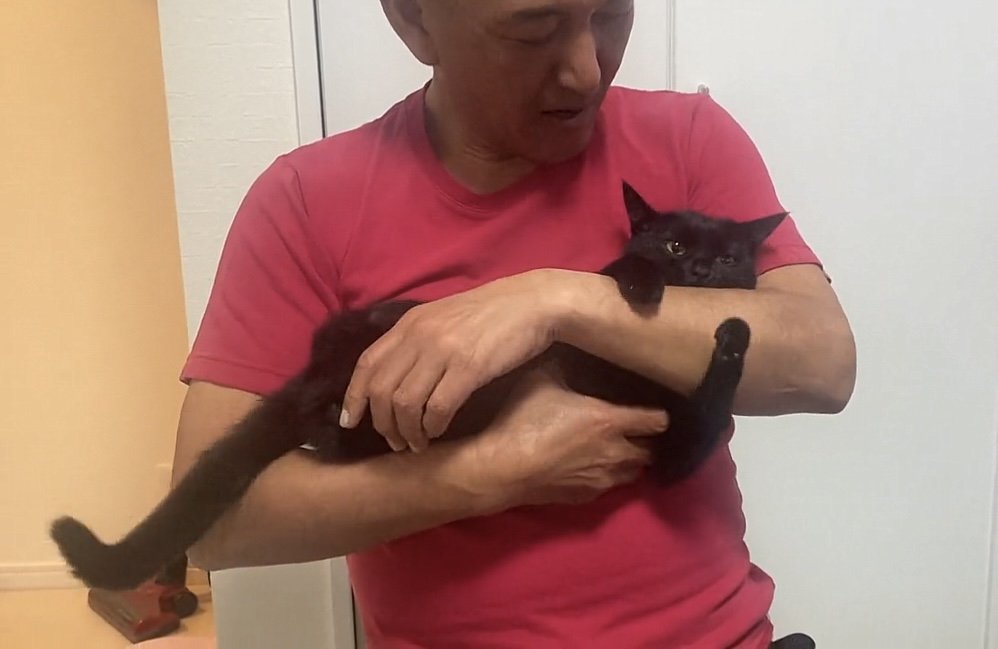 横向きに抱っこされる猫の写真2