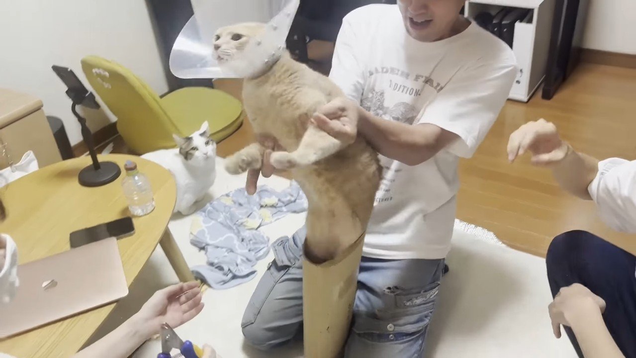 飛び出し