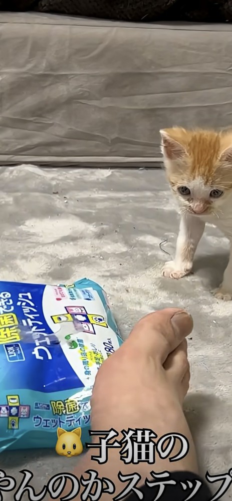 びっくりして後ずさり