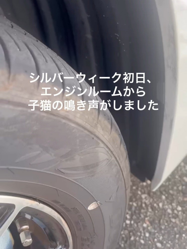 車のタイヤ