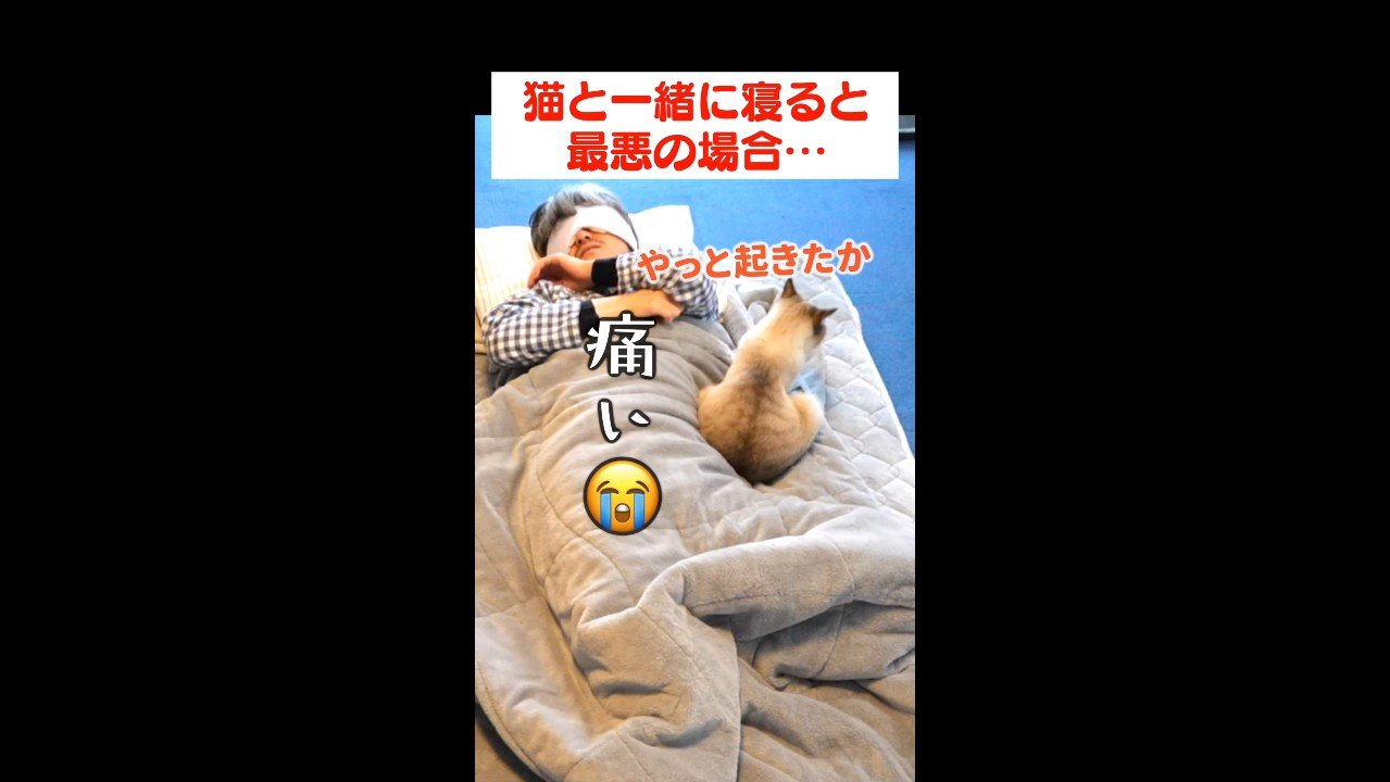 やっと起きたか