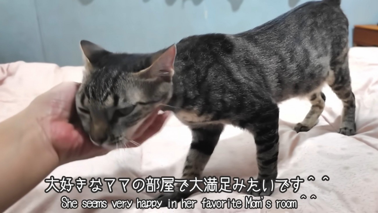 「大好きなママの部屋で大満足みたいです」