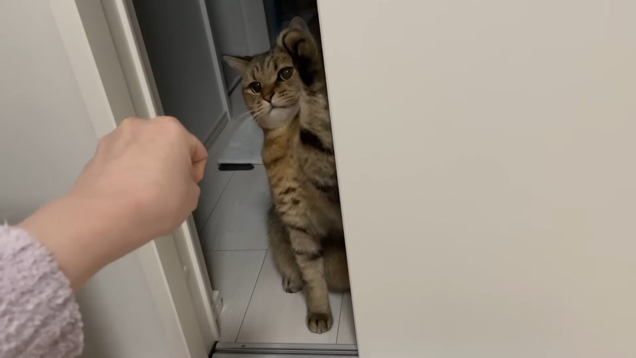 左前足を振り上げて