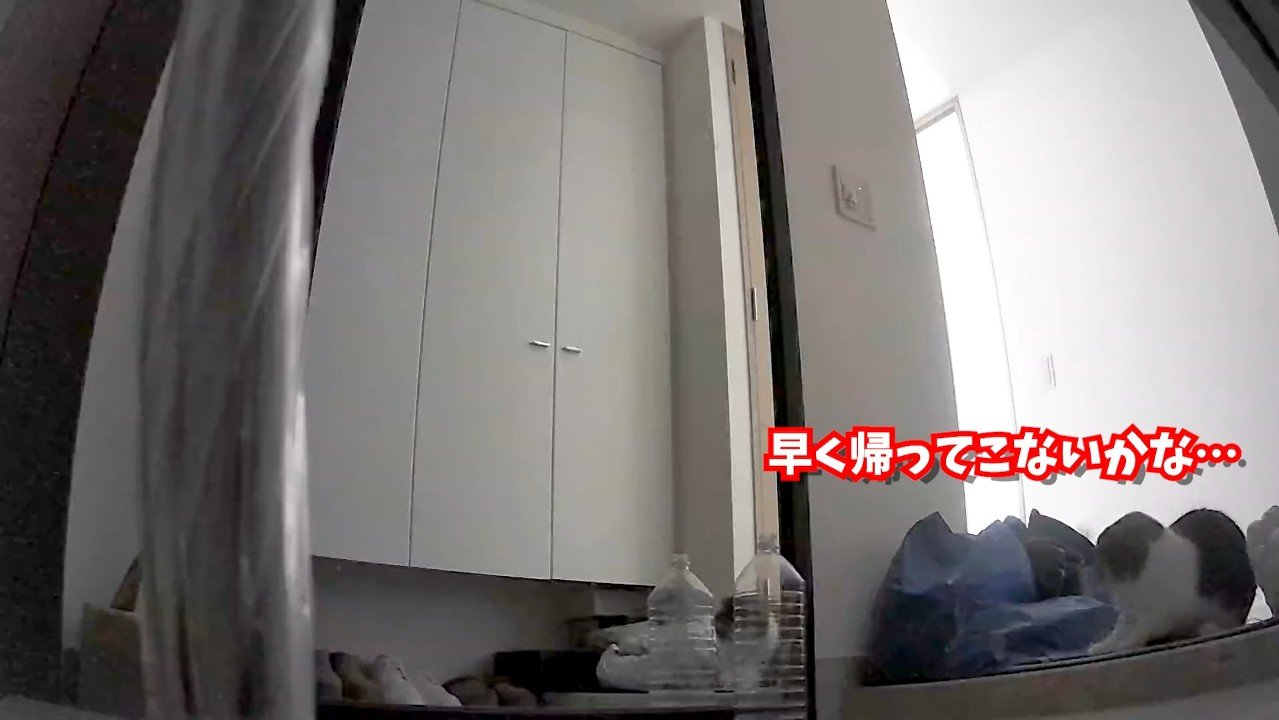 早く帰ってこないかな…