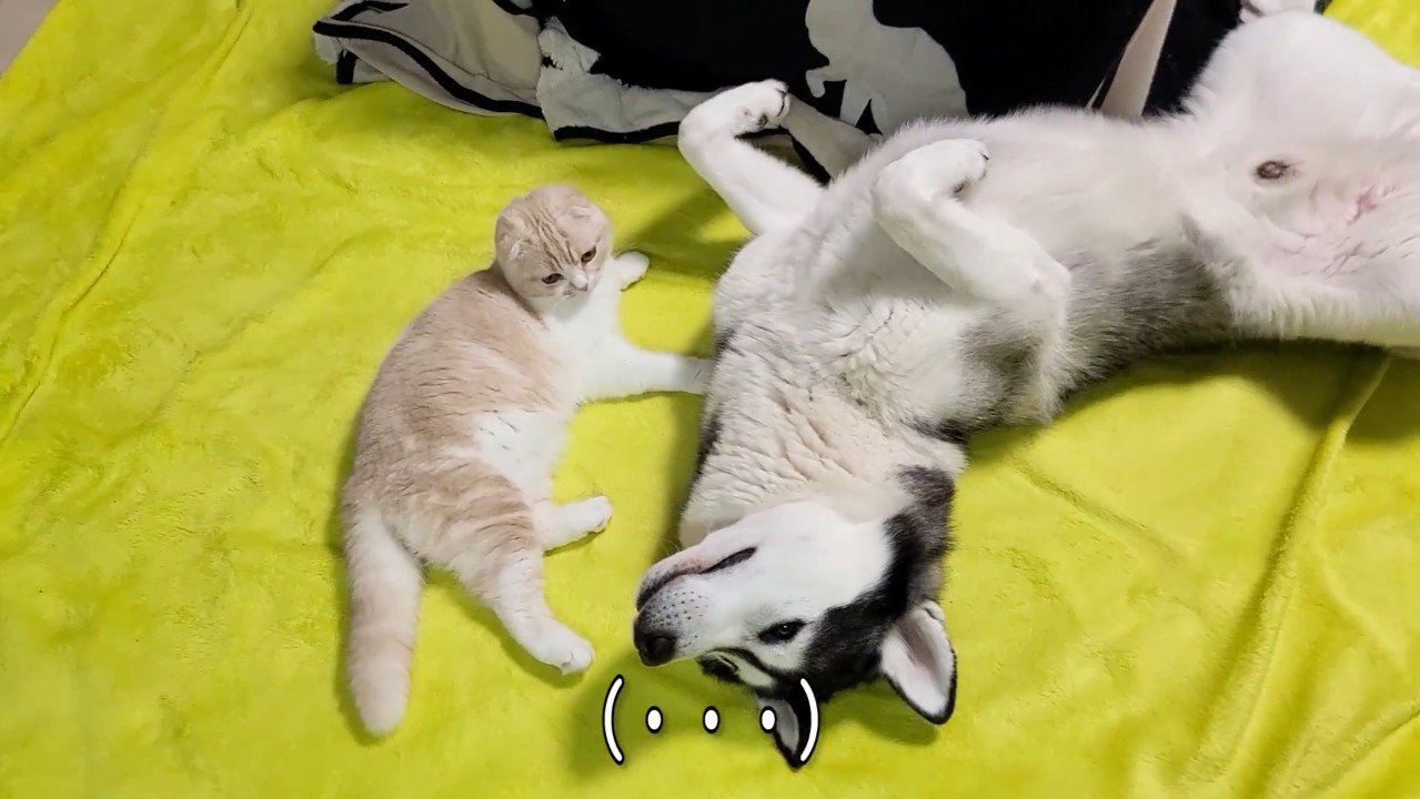 寝転ぶふたり
