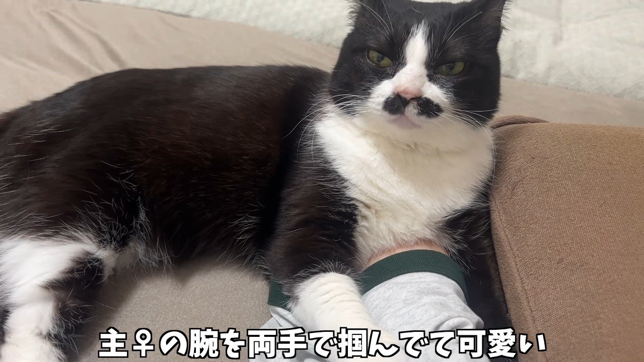 両手で掴んで