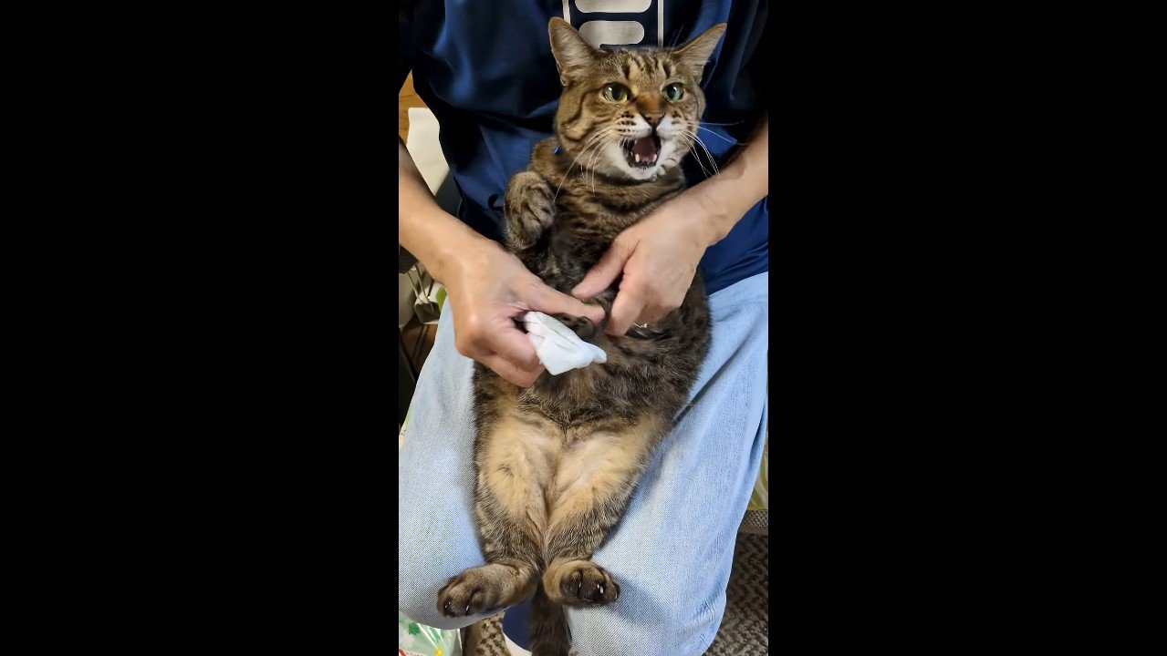 足を揃えて口を開けた姿