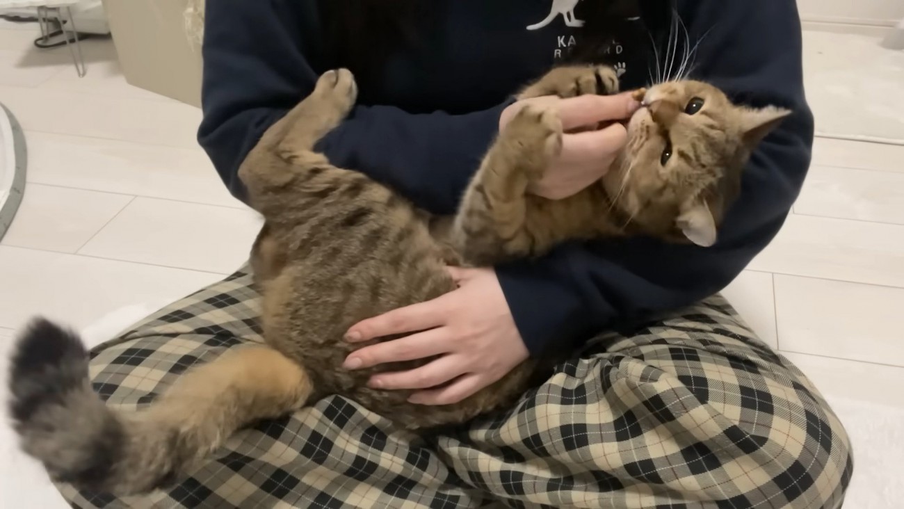 シッポをふるみにらくん